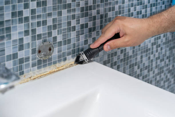 Mold Removal Process in Seminole, OK