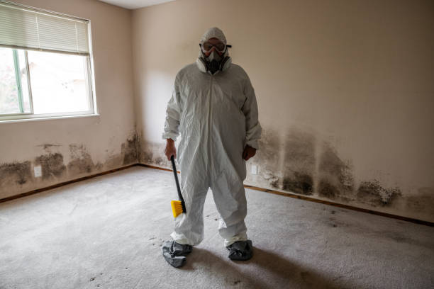 Best Professional Mold Removal  in Seminole, OK